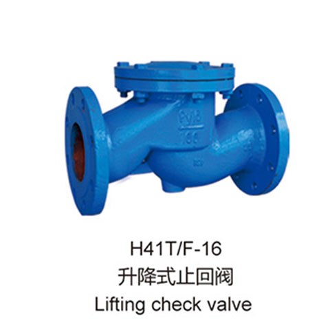 H41T德標升降式止回閥 法蘭式外標閥門(mén)